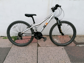 ridgeback mx24 2014